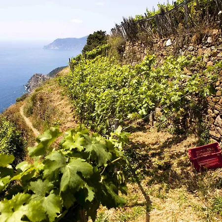 La Sosta Di Ottone Iii מלון 2*