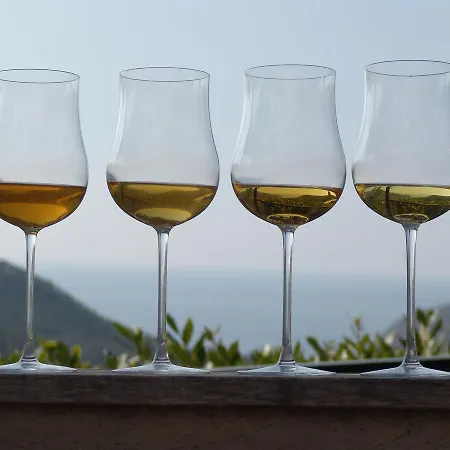 Hotel La Sosta Di Ottone Iii 2*