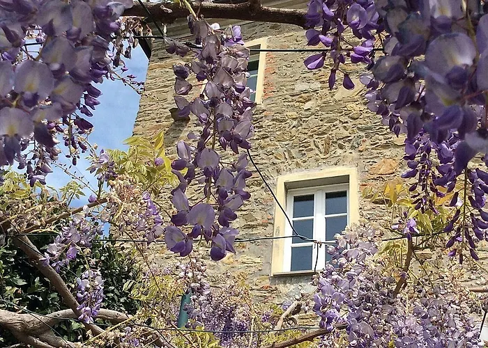 La Sosta Di Ottone Iii Levanto