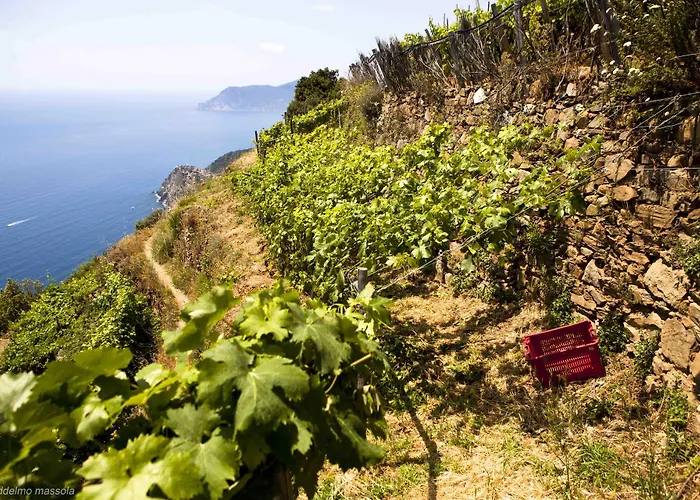 La Sosta Di Ottone Iii Hotel 2*