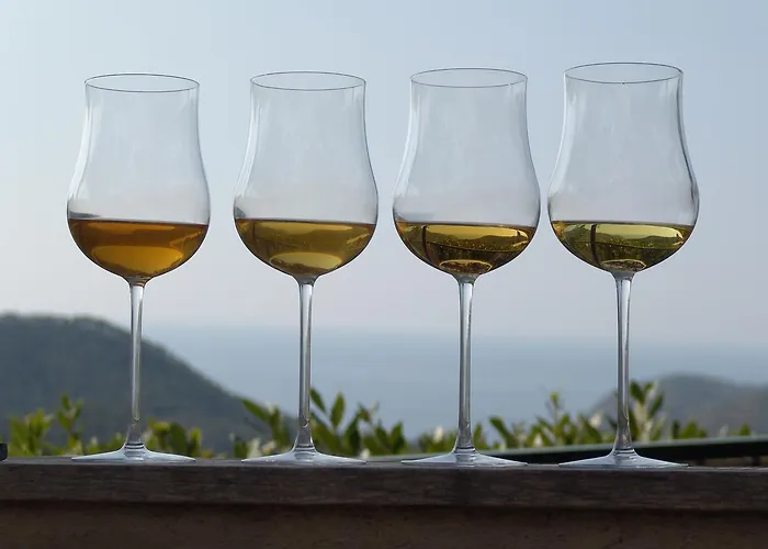 Hotel La Sosta Di Ottone Iii 2*